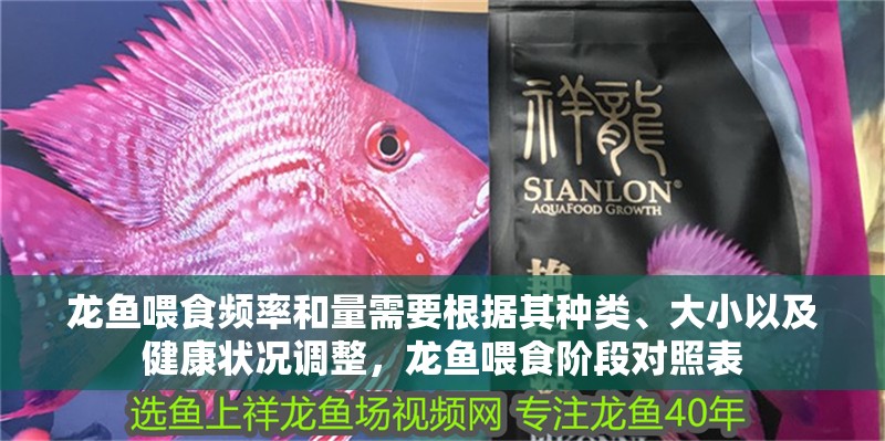 龍魚喂食頻率和量需要根據其種類、大小以及健康狀況調整，龍魚喂食階段對照表