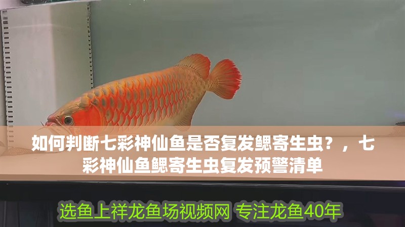 如何判斷七彩神仙魚是否復(fù)發(fā)鰓寄生蟲？，七彩神仙魚鰓寄生蟲復(fù)發(fā)預(yù)警清單