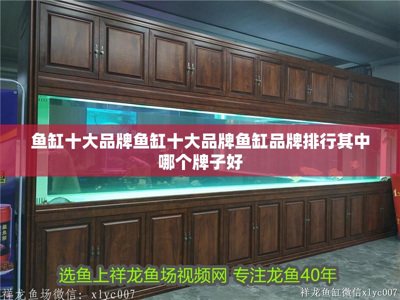 魚缸十大品牌魚缸十大品牌魚缸品牌排行其中哪個牌子好 魚缸十大品牌魚缸十大品牌魚缸品牌排行其中哪個牌子好 觀賞魚百科