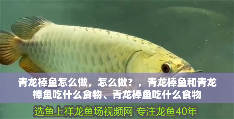 青龍棒魚怎么做，怎么做？，青龍棒魚和青龍棒魚吃什么食物、青龍棒魚吃什么食物