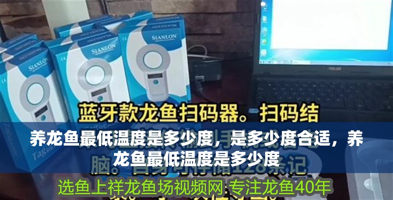 養龍魚最低溫度是多少度,是多少度合適,養龍魚最低溫度是多少度 觀賞魚百科 第2張 養龍魚最低溫度是多少度,是多少度合適,養龍魚最低溫度是多少度 養龍魚最低溫度是多少度,是多少度合適,養龍魚最低溫度是多少度 觀賞魚百科 第2張