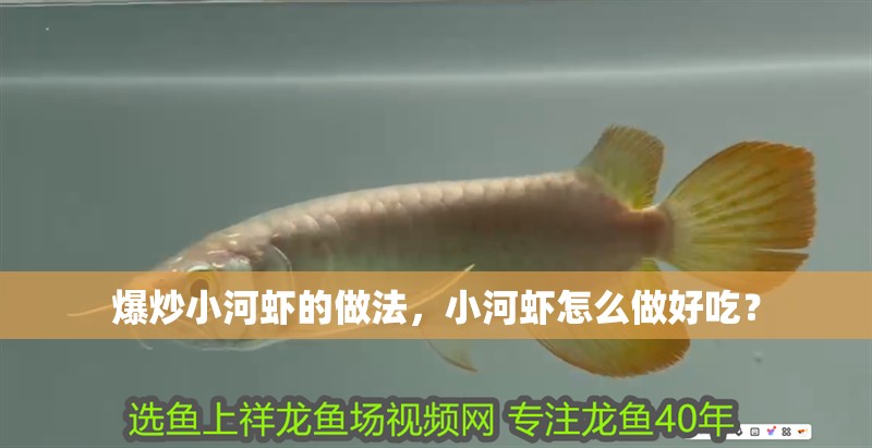 爆炒小河蝦的做法，小河蝦怎么做好吃？