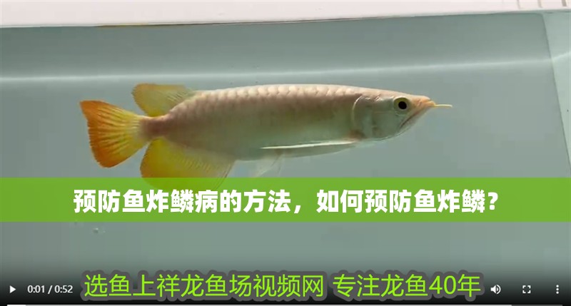 預防魚炸鱗病的方法，如何預防魚炸鱗？