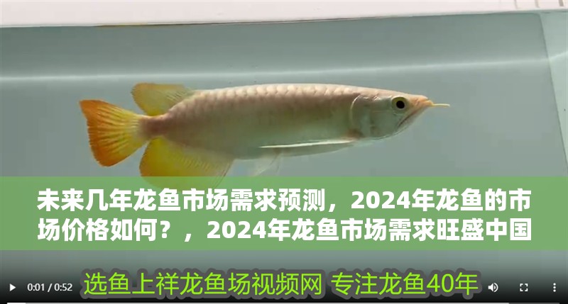 未來幾年龍魚市場需求預測，2024年龍魚的市場價格如何？，2024年龍魚市場需求旺盛中國和日本市場表現突出