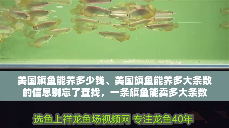 美國旗魚能養多少錢、美國旗魚能養多大條數的信息別忘了查找，一條旗魚能賣多大條數