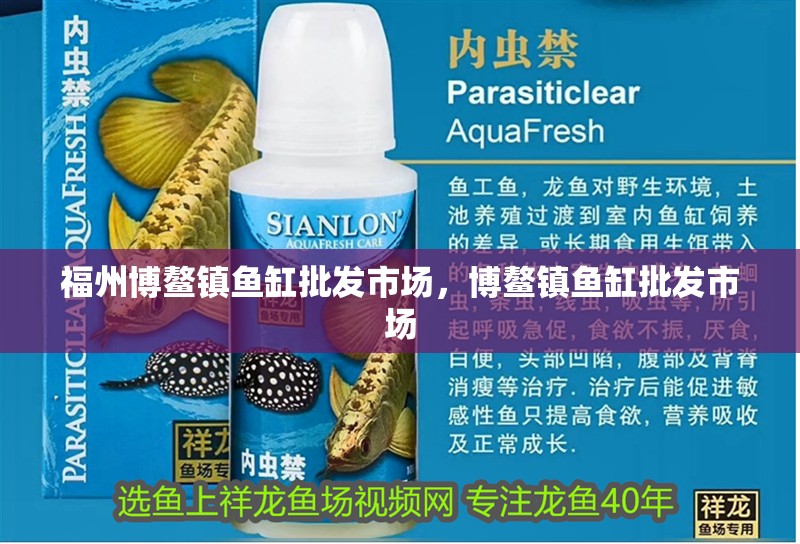 福州博鰲鎮魚缸批發市場，博鰲鎮魚缸批發市場