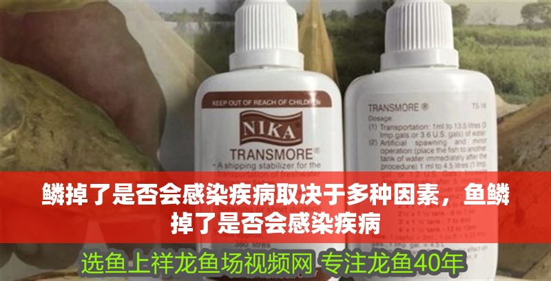 鱗掉了是否會感染疾病取決于多種因素，魚鱗掉了是否會感染疾病
