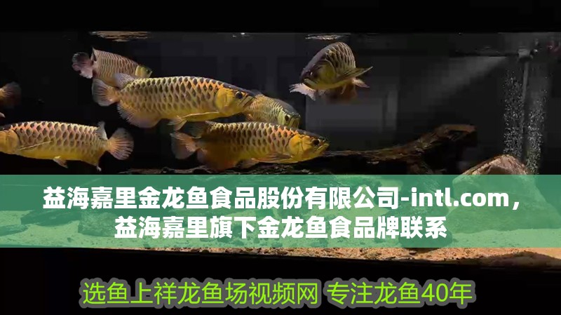 益海嘉里金龍魚食品股份有限公司-intl.com，益海嘉里旗下金龍魚食品牌聯系