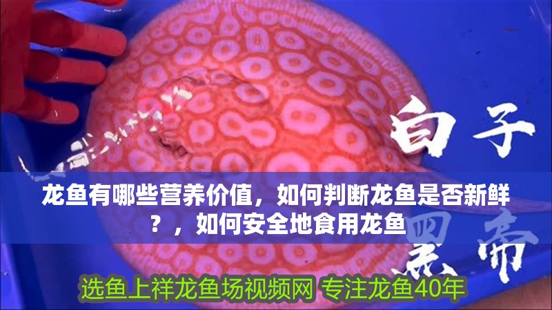 龍魚有哪些營養價值，如何判斷龍魚是否新鮮？，如何安全地食用龍魚