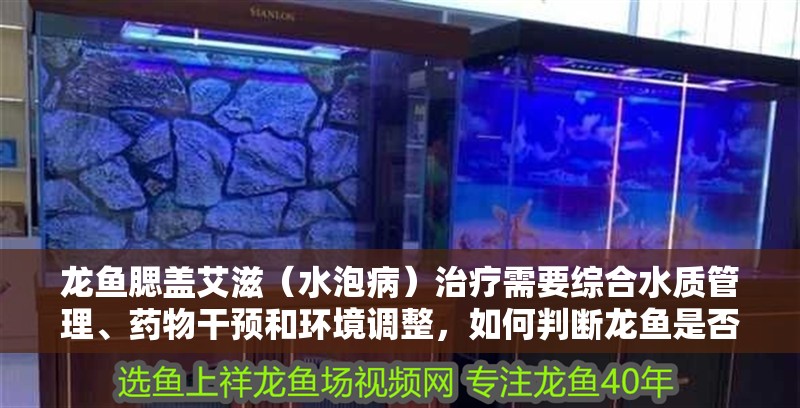 龍魚腮蓋艾滋（水泡病）治療需要綜合水質管理、藥物干預和環境調整，如何判斷龍魚是否患有腮蓋艾滋