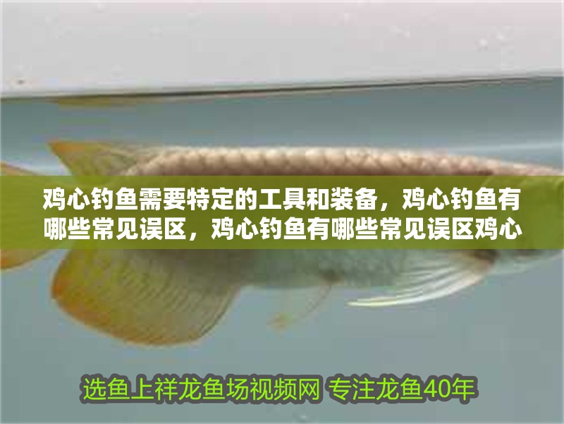 雞心釣魚(yú)需要特定的工具和裝備，雞心釣魚(yú)有哪些常見(jiàn)誤區(qū)，雞心釣魚(yú)有哪些常見(jiàn)誤區(qū)雞心釣魚(yú)有哪些常見(jiàn)誤區(qū)