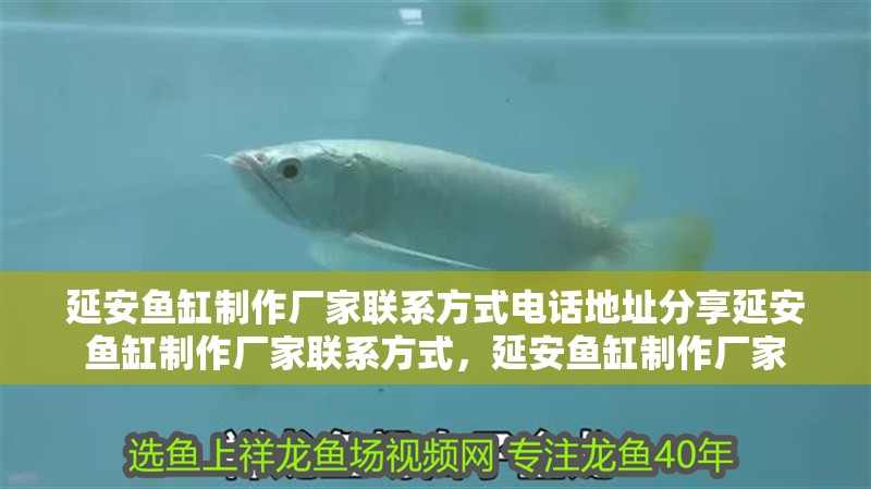 延安魚缸制作廠家聯(lián)系方式電話地址分享延安魚缸制作廠家聯(lián)系方式，延安魚缸制作廠家 延安魚缸制作廠家聯(lián)系方式電話地址分享延安魚缸制作廠家聯(lián)系方式，延安魚缸制作廠家 觀賞魚百科