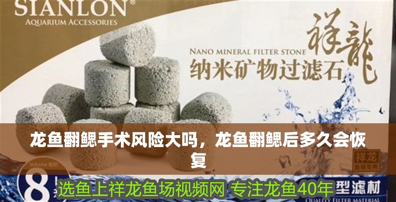 龍魚(yú)翻鰓手術(shù)風(fēng)險(xiǎn)大嗎，龍魚(yú)翻鰓后多久會(huì)恢復(fù)