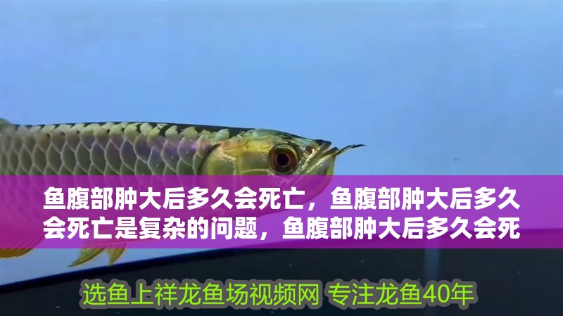 魚腹部腫大后多久會死亡，魚腹部腫大后多久會死亡是復雜的問題，魚腹部腫大后多久會死亡
