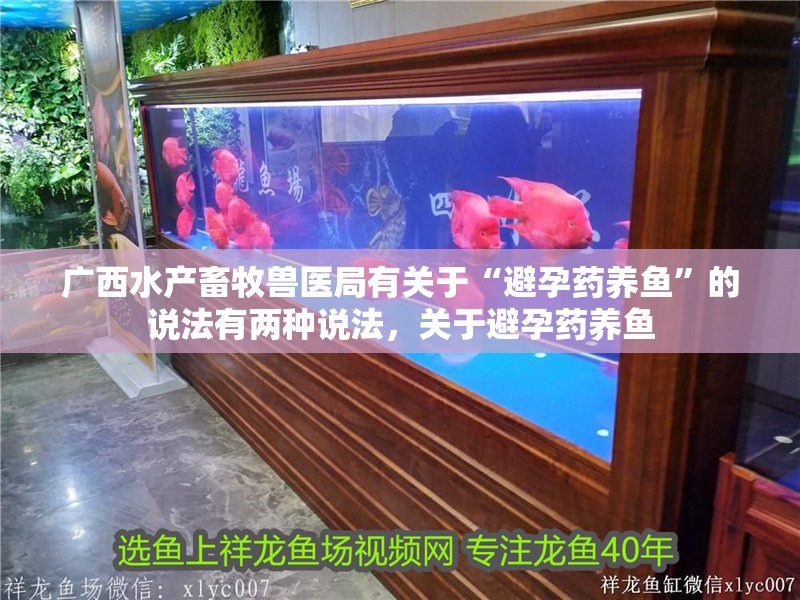 廣西水產畜牧獸醫局有關于“避孕藥養魚”的說法有兩種說法，關于避孕藥養魚