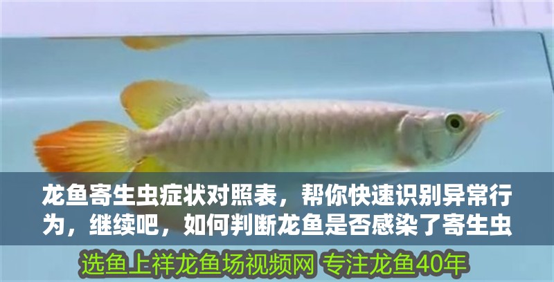 龍魚寄生蟲癥狀對照表，幫你快速識別異常行為，繼續吧，如何判斷龍魚是否感染了寄生蟲？ 龍魚寄生蟲癥狀對照表，幫你快速識別異常行為，繼續吧，如何判斷龍魚是否感染了寄生蟲？ 龍魚百科 第2張