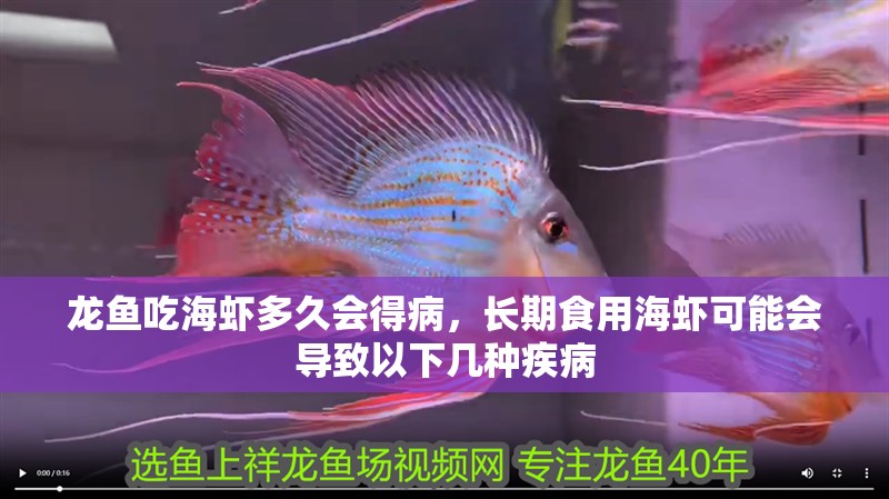 龍魚吃海蝦多久會得病，長期食用海蝦可能會導致以下幾種疾病
