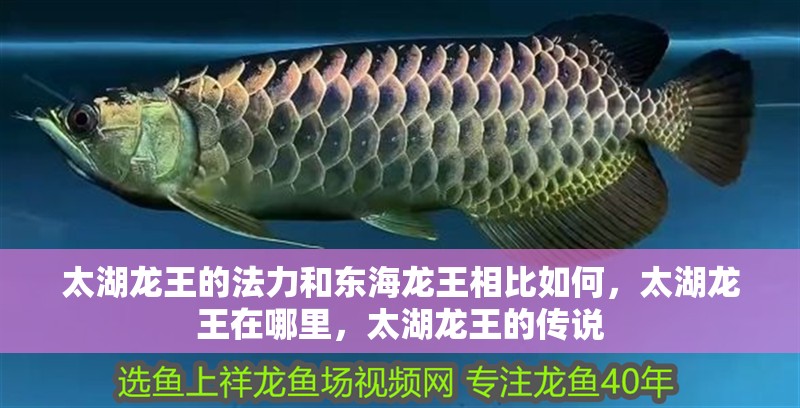 太湖龍王的法力和東海龍王相比如何，太湖龍王在哪里，太湖龍王的傳說