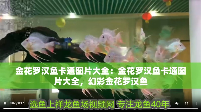 金花羅漢魚卡通圖片大全：金花羅漢魚卡通圖片大全，幻彩金花羅漢魚