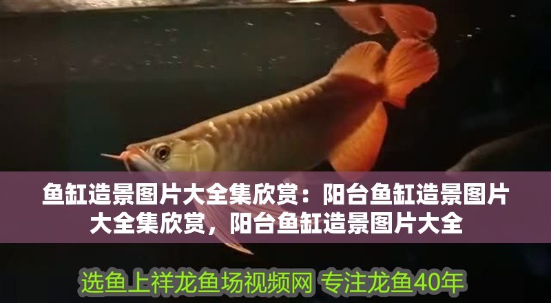 魚缸造景圖片大全集欣賞：陽臺魚缸造景圖片大全集欣賞，陽臺魚缸造景圖片大全 魚缸造景圖片大全集欣賞：陽臺魚缸造景圖片大全集欣賞，陽臺魚缸造景圖片大全 觀賞魚百科
