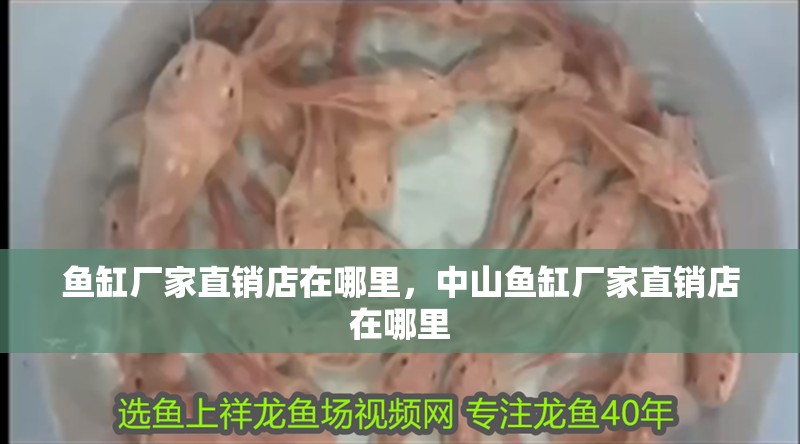 魚缸廠家直銷店在哪里，中山魚缸廠家直銷店在哪里