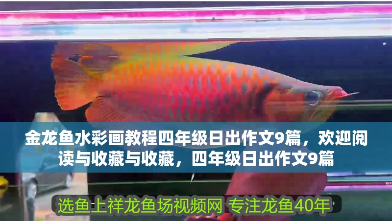 金龍魚水彩畫教程四年級日出作文9篇，歡迎閱讀與收藏與收藏，四年級日出作文9篇
