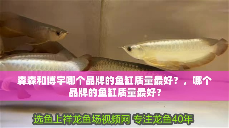 森森和博宇哪個(gè)品牌的魚缸質(zhì)量最好？，哪個(gè)品牌的魚缸質(zhì)量最好？