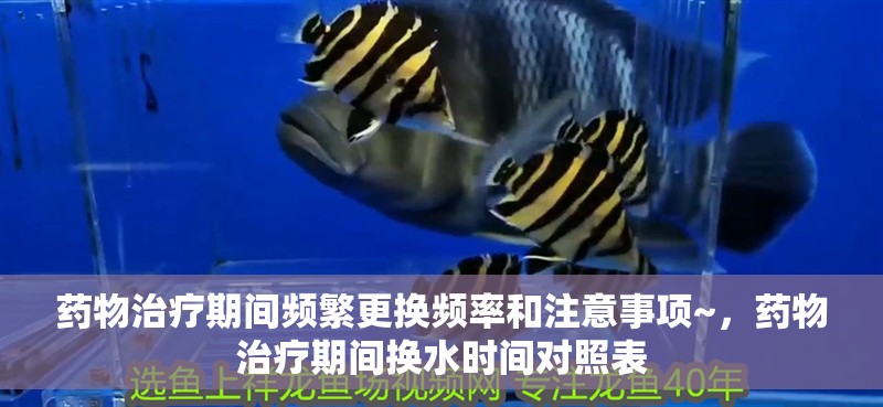 藥物治療期間頻繁更換頻率和注意事項~，藥物治療期間換水時間對照表
