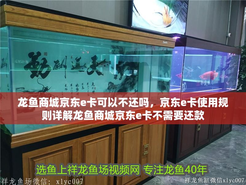 龍魚商城京東e卡可以不還嗎，京東e卡使用規則詳解龍魚商城京東e卡不需要還款