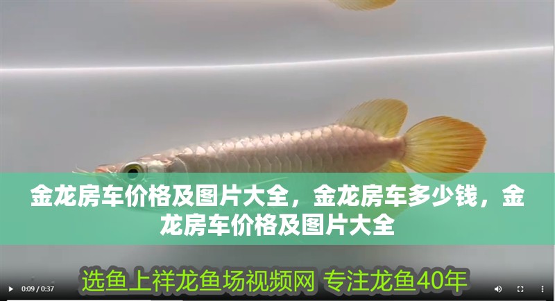 金龍房車價格及圖片大全，金龍房車多少錢，金龍房車價格及圖片大全