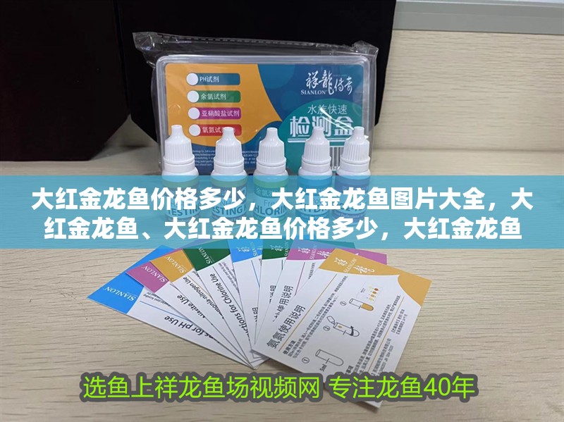 大紅金龍魚價格多少，大紅金龍魚圖片大全，大紅金龍魚、大紅金龍魚價格多少，大紅金龍魚價格多少