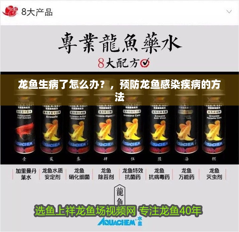 龍魚生病了怎么辦？，預防龍魚感染疾病的方法