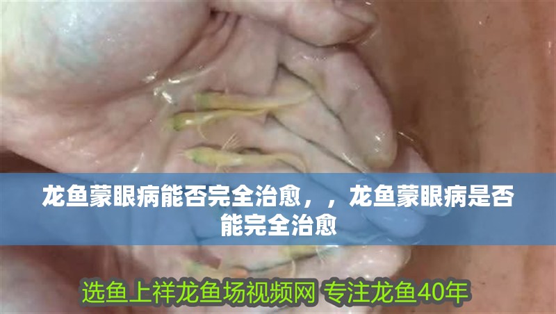 龍魚蒙眼病能否完全治愈，，龍魚蒙眼病是否能完全治愈