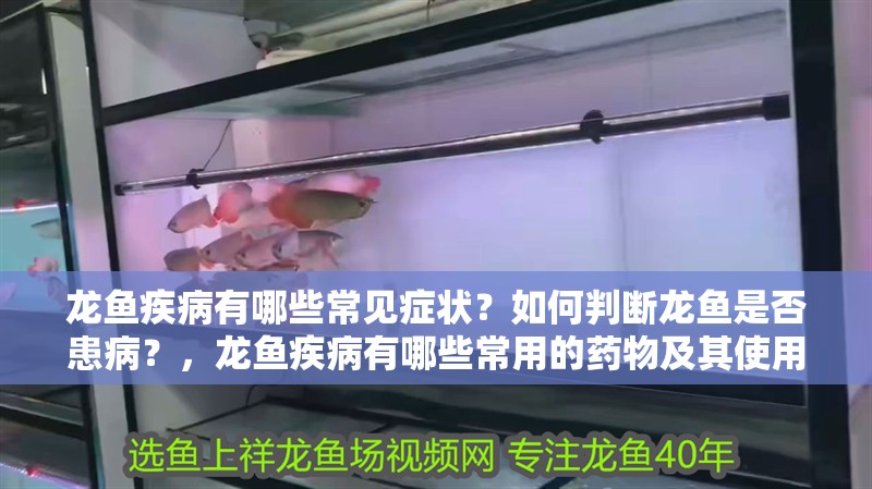 龍魚疾病有哪些常見癥狀？如何判斷龍魚是否患病？，龍魚疾病有哪些常用的藥物及其使用方法及使用方法