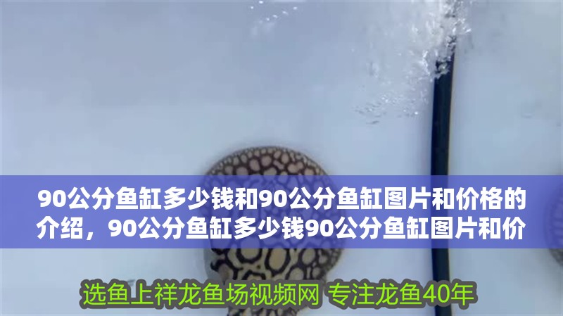 90公分魚缸多少錢和90公分魚缸圖片和價格的介紹，90公分魚缸多少錢90公分魚缸圖片和價格
