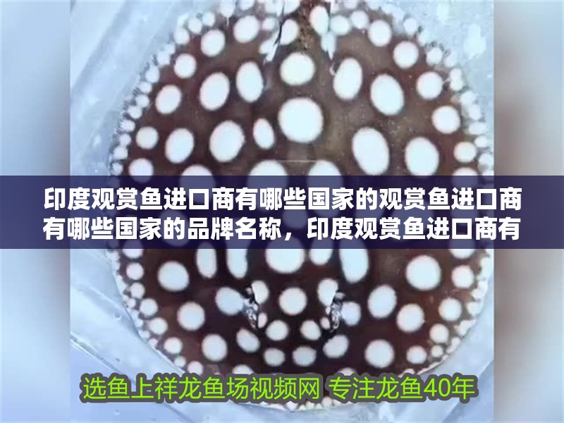 印度觀賞魚進口商有哪些國家的觀賞魚進口商有哪些國家的品牌名稱，印度觀賞魚進口商有哪些國家的品牌名稱是英文