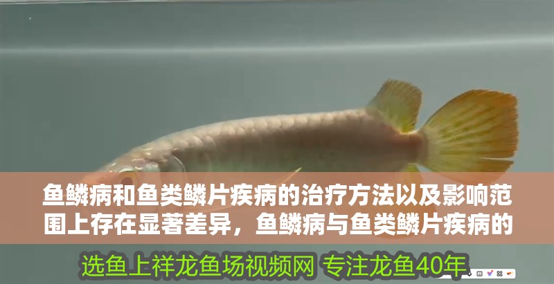 魚鱗病和魚類鱗片疾病的治療方法以及影響范圍上存在顯著差異，魚鱗病與魚類鱗片疾病的區別
