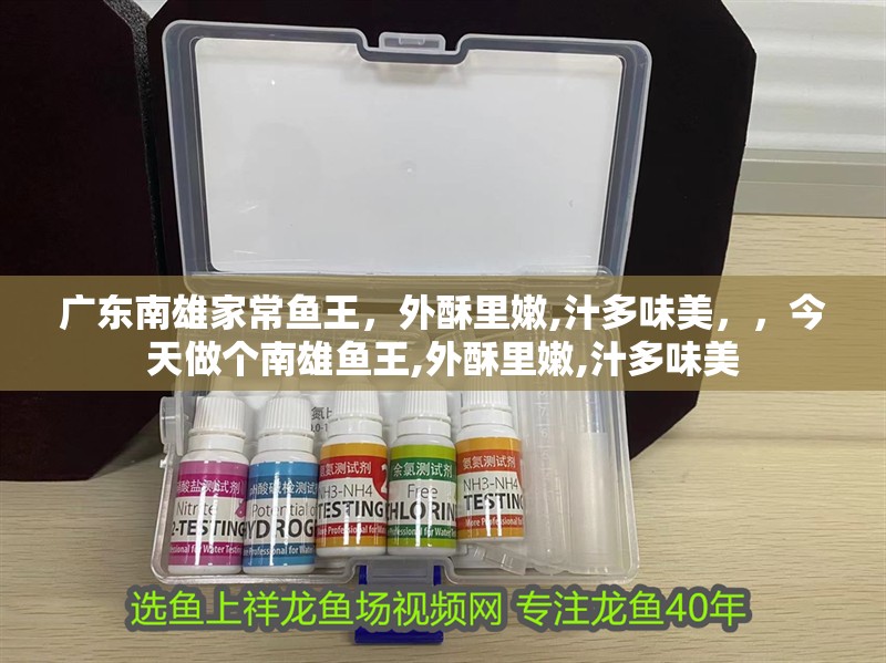 廣東南雄家常魚王，外酥里嫩,汁多味美，，今天做個南雄魚王,外酥里嫩,汁多味美