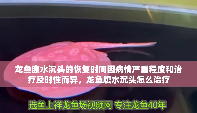 龍魚腹水沉頭的恢復(fù)時間因病情嚴(yán)重程度和治療及時性而異，龍魚腹水沉頭怎么治療