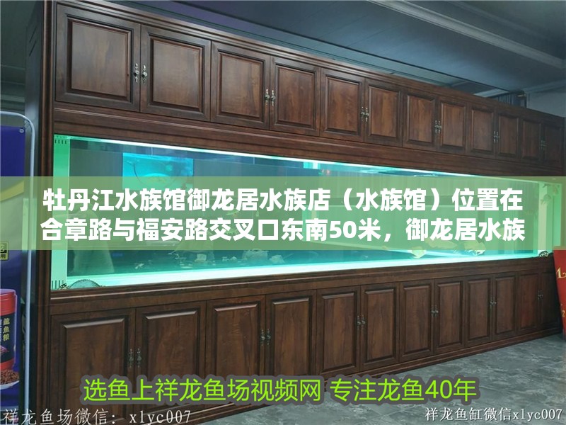 牡丹江水族館御龍居水族店（水族館）位置在合章路與福安路交叉口東南50米，御龍居水族館 牡丹江水族館御龍居水族店（水族館）位置在合章路與福安路交叉口東南50米，御龍居水族館 觀賞魚百科 第2張
