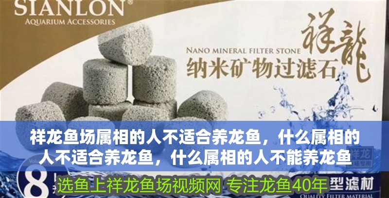 祥龍魚場屬相的人不適合養龍魚，什么屬相的人不適合養龍魚，什么屬相的人不能養龍魚