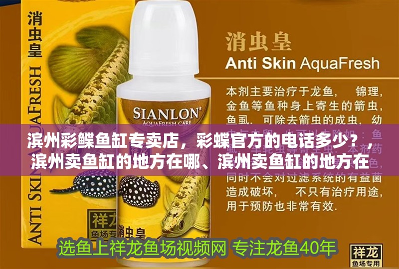 濱州彩鰈魚缸專賣店，彩蝶官方的電話多少？，濱州賣魚缸的地方在哪、濱州賣魚缸的地方在哪