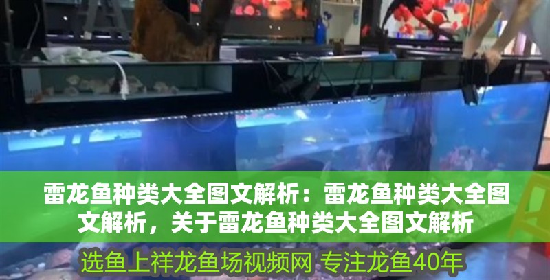 雷龍魚種類大全圖文解析：雷龍魚種類大全圖文解析，關于雷龍魚種類大全圖文解析