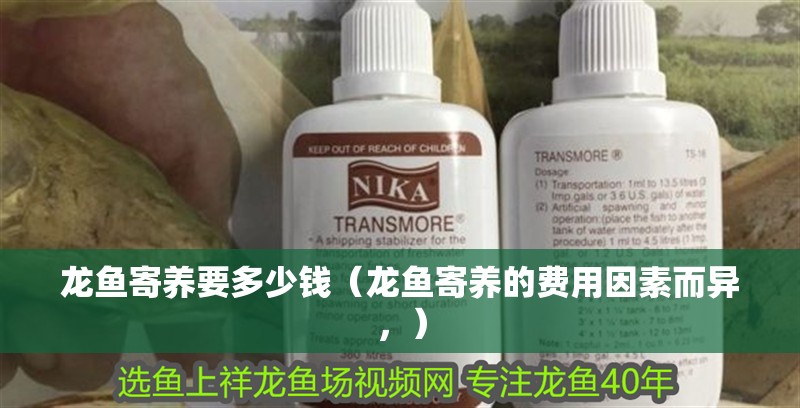 龍魚(yú)寄養(yǎng)要多少錢(qián)（龍魚(yú)寄養(yǎng)的費(fèi)用因素而異，）