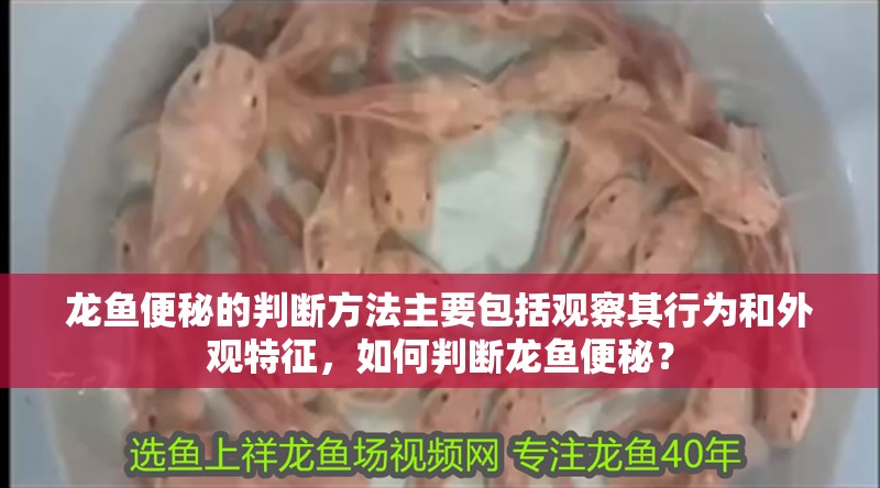 龍魚便秘的判斷方法主要包括觀察其行為和外觀特征，如何判斷龍魚便秘？