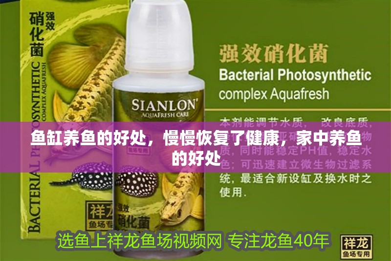 魚缸養(yǎng)魚的好處，慢慢恢復(fù)了健康，家中養(yǎng)魚的好處