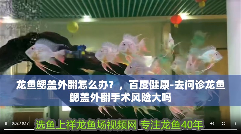 龍魚鰓蓋外翻怎么辦？，百度健康-去問診龍魚鰓蓋外翻手術風險大嗎