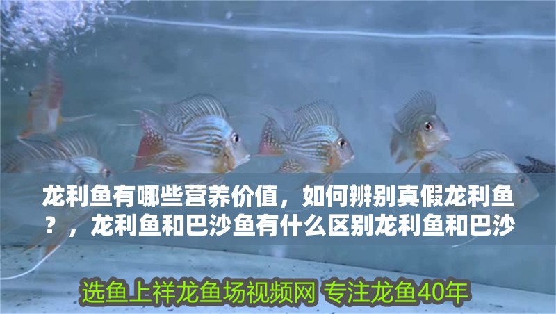 龍利魚(yú)有哪些營(yíng)養(yǎng)價(jià)值，如何辨別真假龍利魚(yú)？，龍利魚(yú)和巴沙魚(yú)有什么區(qū)別龍利魚(yú)和巴沙魚(yú)有什么區(qū)別