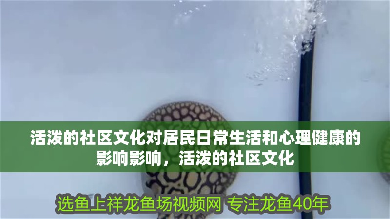 活潑的社區文化對居民日常生活和心理健康的影響影響，活潑的社區文化