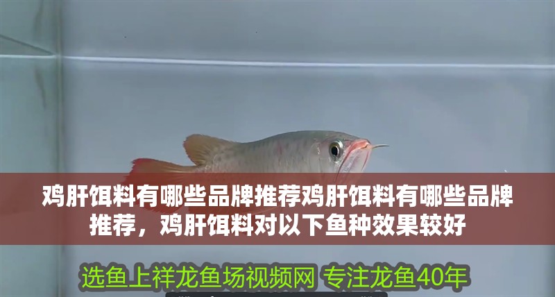 雞肝餌料有哪些品牌推薦雞肝餌料有哪些品牌推薦，雞肝餌料對(duì)以下魚種效果較好